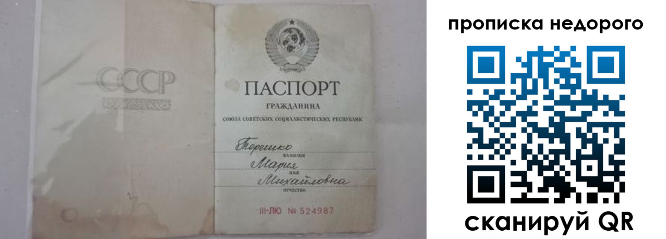 где прописаться в Дальнегорске